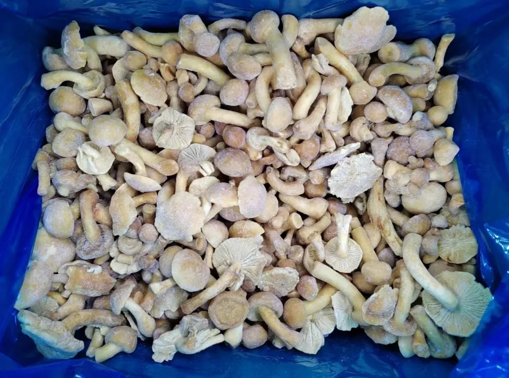 Découvrez la commodité et le goût des champignons surgelés des meilleurs fournisseurs 1