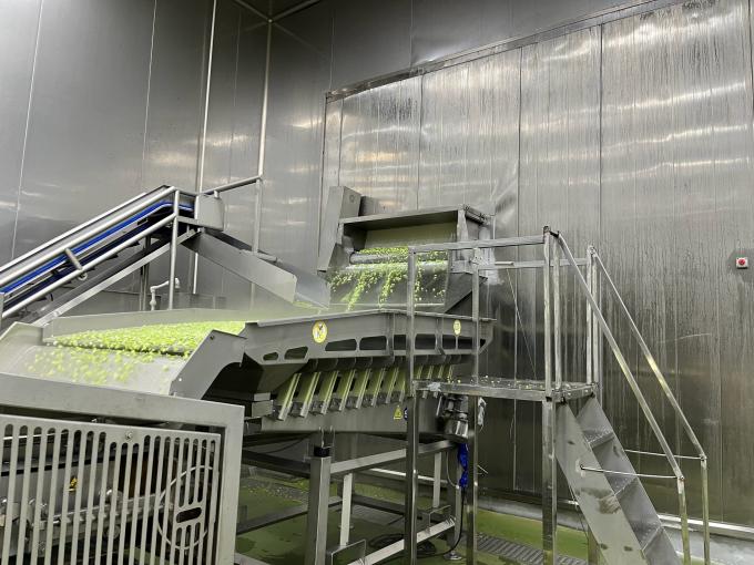 Framboises fra&icirc;ches congel&eacute;es de haute qualit&eacute;, s&eacute;lectionn&eacute;es pour leur go&ucirc;t sucr&eacute;, pour les jus, les desserts, les milkshakes. 10