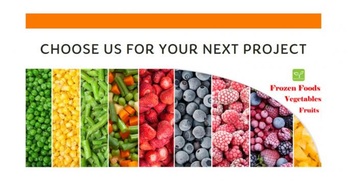 Meilleur champignon d'hu&icirc;tre congel&eacute; de haute qualit&eacute; en gros de nouvelle culture 9