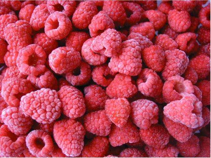 Prix usine de crumble de framboises surgel&eacute;es IQF en gros Contr&ocirc;le de qualit&eacute; strict Bon go&ucirc;t 3