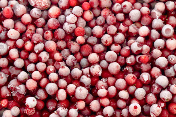 Vente &agrave; chaud de nouvelles r&eacute;coltes Iqf congel&eacute;es en vrac Lingonberry rouge en fruits congel&eacute;s Emballage en vrac 2