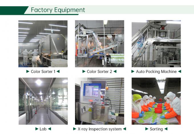 IQF M&eacute;langes de l&eacute;gumes congel&eacute;s M&eacute;langes de l&eacute;gumes frais 6