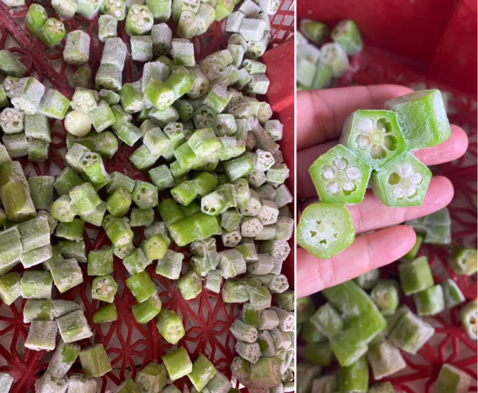 Les doigts de la dame congelée IQF Premium Okra légumes entiers et tranchés pour la cuisson fournisseur de gros du Vietnam 6