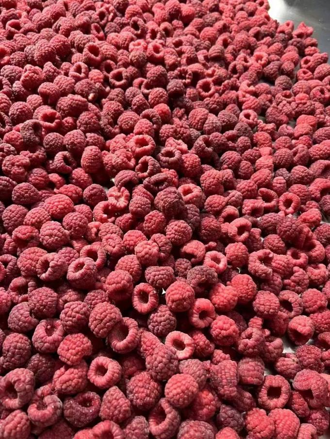 Framboises fra&icirc;ches congel&eacute;es de haute qualit&eacute;, s&eacute;lectionn&eacute;es pour leur go&ucirc;t sucr&eacute;, pour les jus, les desserts, les milkshakes. 3