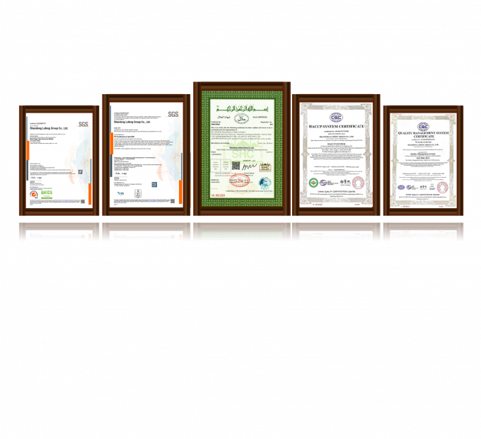 Poitrine de poulet congel&eacute; sans os de haute qualit&eacute; export&eacute;e en vrac 3