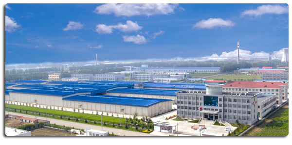 Poitrine de poulet congel&eacute; sans os de haute qualit&eacute; export&eacute;e en vrac 4