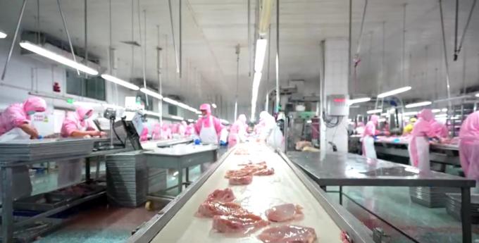 Poitrine de poulet congel&eacute; sans os de haute qualit&eacute; export&eacute;e en vrac 6