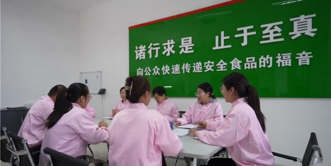 Poitrine de poulet congel&eacute; sans os de haute qualit&eacute; export&eacute;e en vrac 7