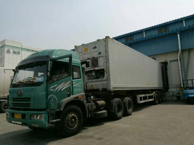 Poitrine de poulet congel&eacute; sans os de haute qualit&eacute; export&eacute;e en vrac 10